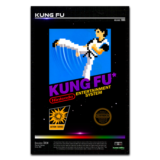 Kung Fu NES Game Cover Art Poster