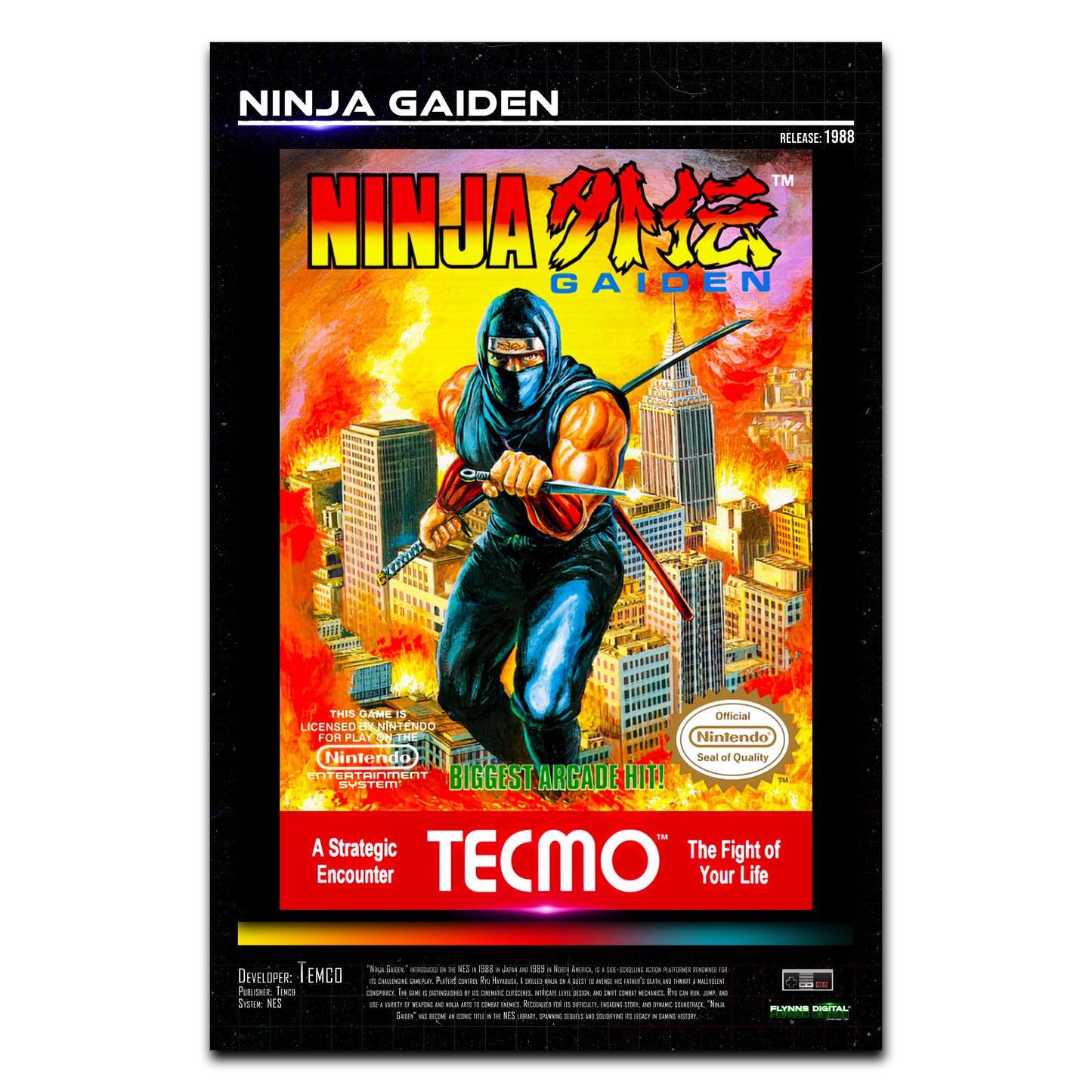 Ninja Gaiden NES Game Cover Art Poster